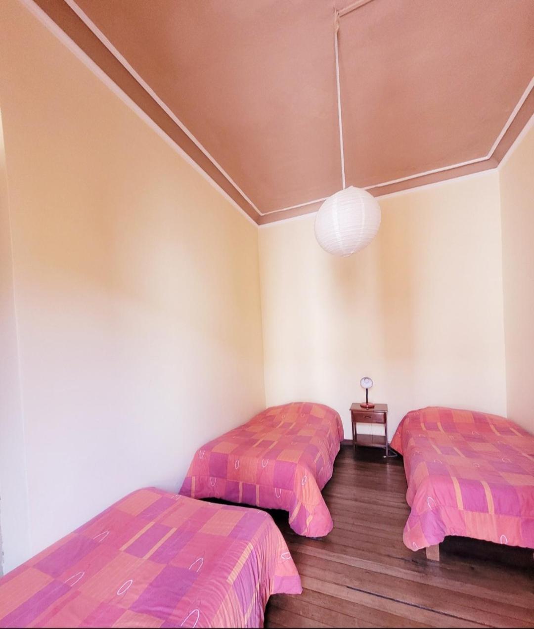 Inka Roots Hostel 阿雷基帕 外观 照片